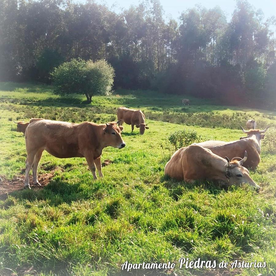 Piedras De Asturias Apartman Piedras Blancas Kültér fotó